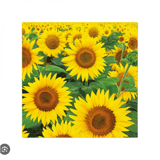 Serwetka 33x33 wzór 3W SUNFLOWERS FIELD 20szt /12 -zdjęcie numer 1
