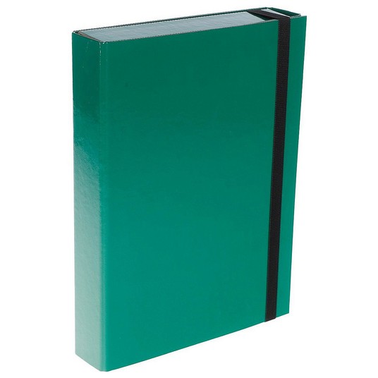 Teczka BOX CARIBIC A4 Zielona 5cm -zdjęcie numer 1