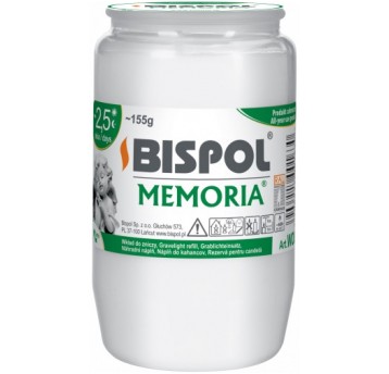 BISPOL wkład olejowy WO3 /24