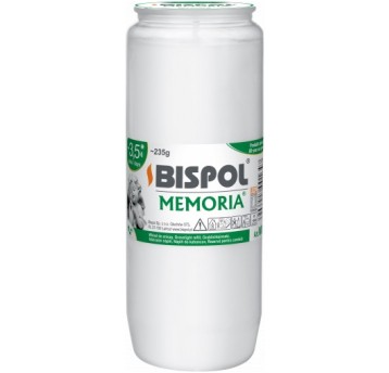 BISPOL wkład olejowy WO4 /24