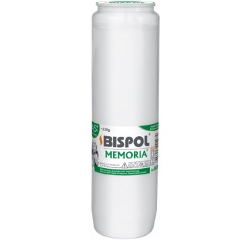 BISPOL wkład olejowy WO6 /24
