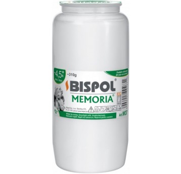 BISPOL wkład olejowy WO7 /16