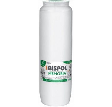 BISPOL wkład olejowy WO8 /16