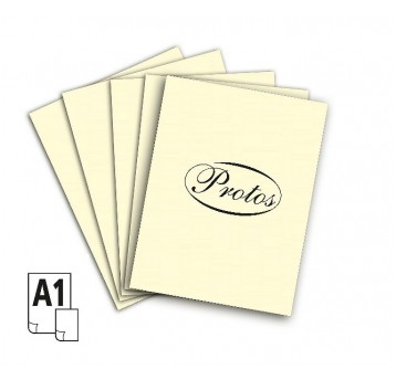 Brystol A1 Protos 1szt KREM