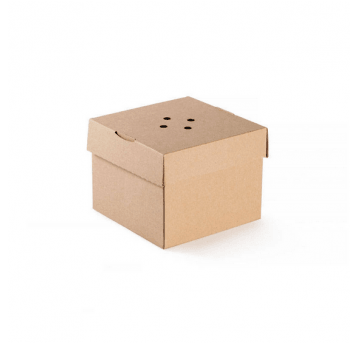 Burger Box karton TALERZYK 15x15x12cm 100szt