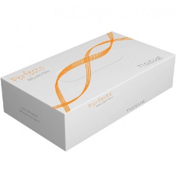 Chusteczki pudełko 2W 100szt PERFECTO /40