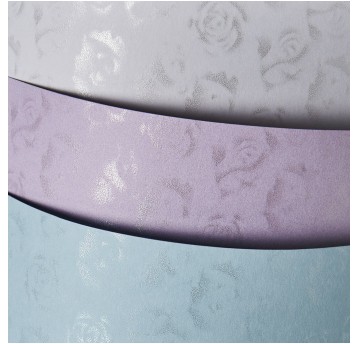 Karton wizytówkowy Małe róże A4 Biały 220g 20szt