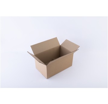 Karton wysyłkowy 30x20x15cm brąz gabaryt B