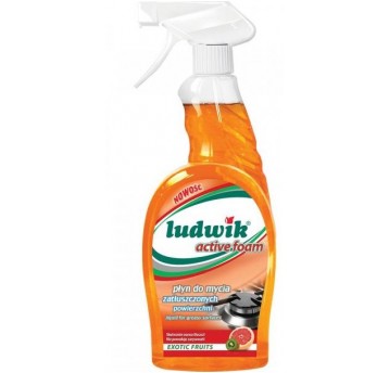 Odtłuszczacz LUDWIK ACTIVE FOAM 600ml pomarań