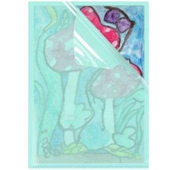 Ofertówka obwoluta typu L BIURFOL pastel ZIELONY