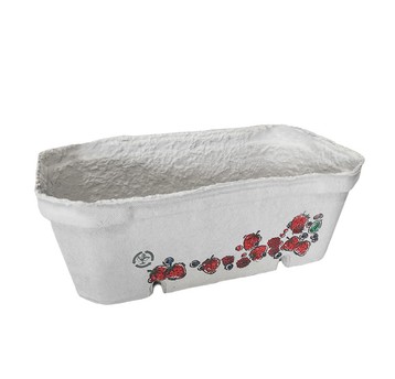 Pojemnik papierowy na owoce NADR MALINY 500g 50szt