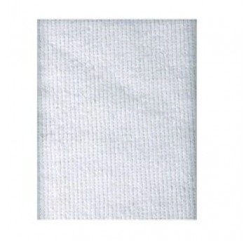 Ścierka wiskoza 60x100 250g MASTER biała 1szt /50