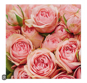 Serwetka 33x33 wzór 3W LOTS OF ROSES 20szt /12