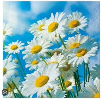Serwetka 33x33 wzór 3W SUN DAISIES 20szt /12