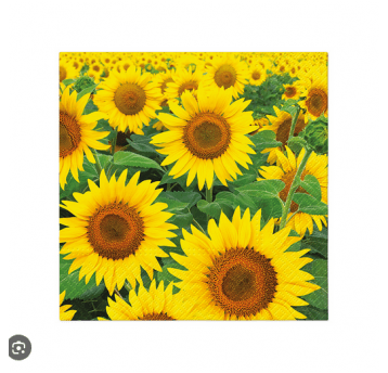 Serwetka 33x33 wzór 3W SUNFLOWERS FIELD 20szt /12