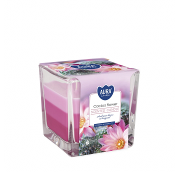 Świeca zapach szkło 3 kolory AURA Kwiat Kaktusa
