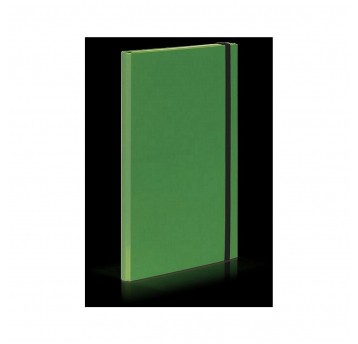 TECZKA skrzydłowa z gumką Jasny zie-2 4cm CARIBIC