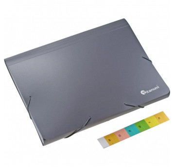 Teczka z 12 przegródkami Titanum A4 Szara