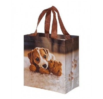 Torba z PP 10L mini PIESEK 1szt /25