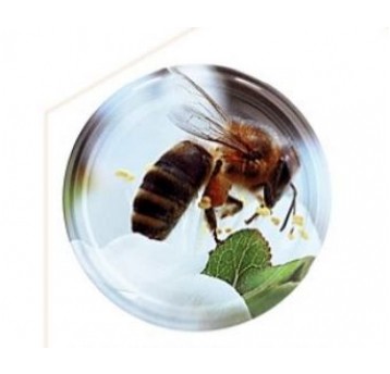 ZAKRĘTKA słoik 82mm PSZCZOŁA 10szt WYSTAWKA